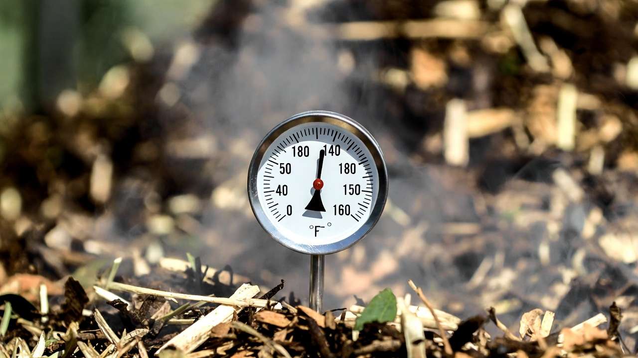 Compost thermometer showing high temperature in an active hot compost pile
