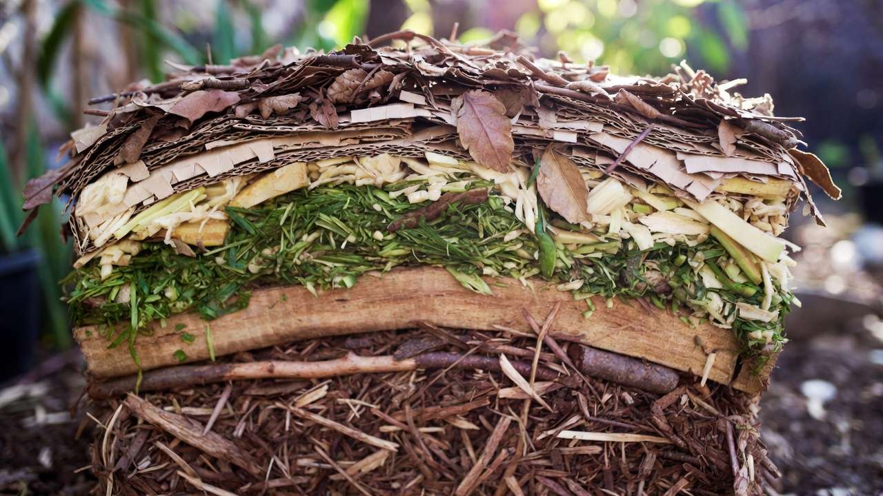 Step-by-step layered compost pile with alternating green and brown materials including kitchen scraps, grass, dry leaves and cardboard for balanced composting