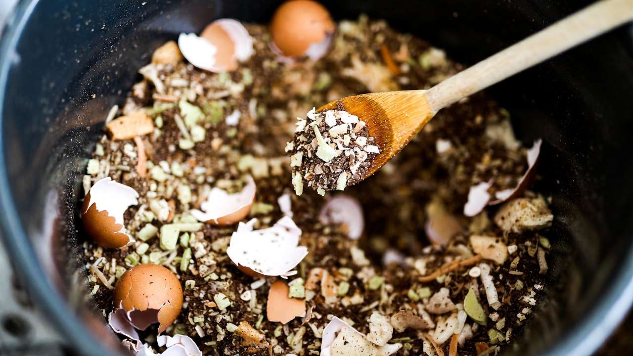 Adding crushed eggshells and lime to adjust pH in worm composting bin