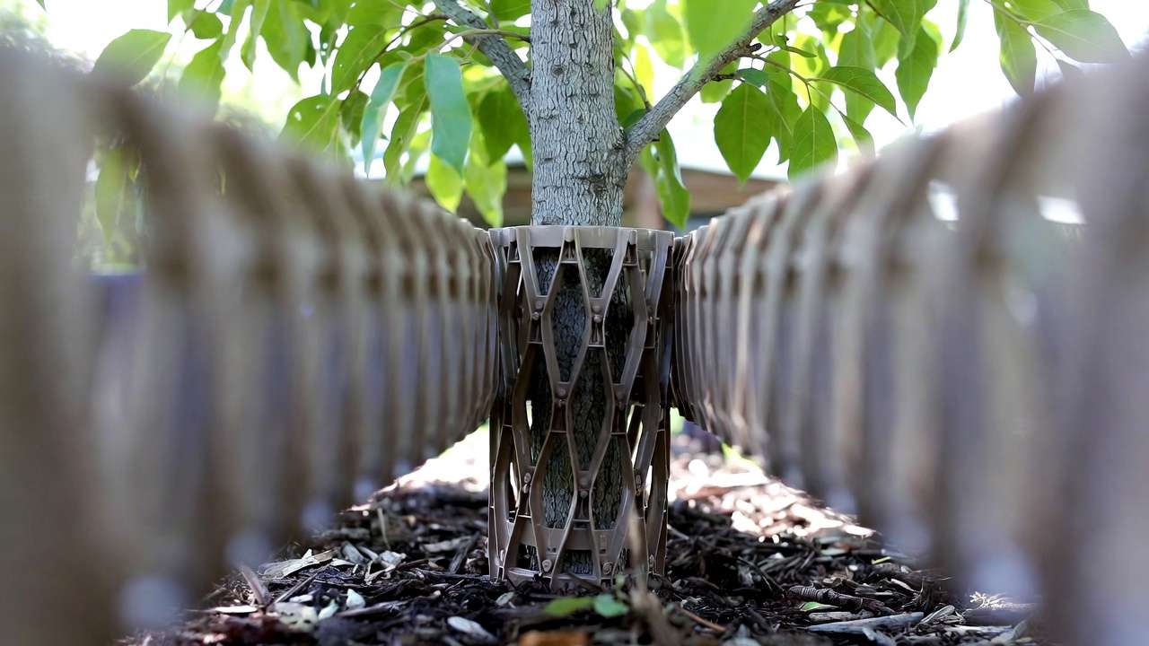 Expandable coiled plastic tree guard protecting young trunk from mower and string trimmer damage