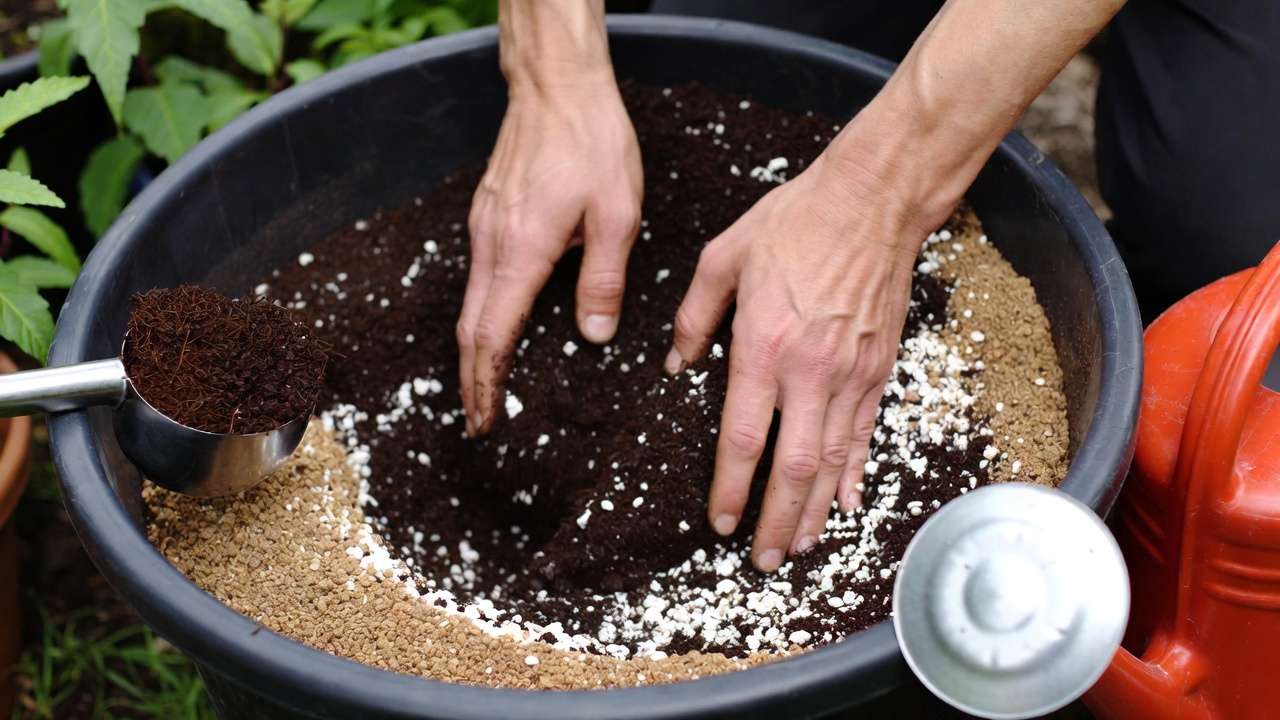 Hands mixing custom potting soil with coco coir and perlite