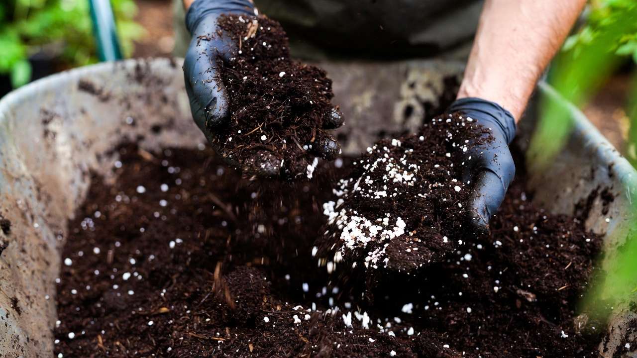 Refreshing old potting soil by mixing in compost, perlite, and worm castings