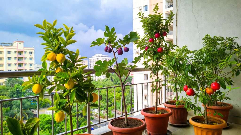 Compact Fruit Trees for City Gardens: 12 Best Dwarf Varieties