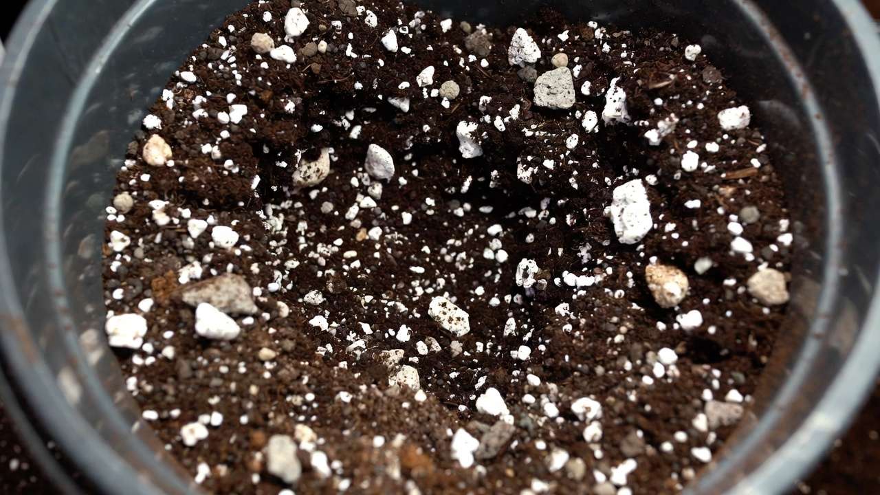 Freshly mixed DIY quick-draining succulent soil with perlite, pumice, coco coir, and grit in a bucket