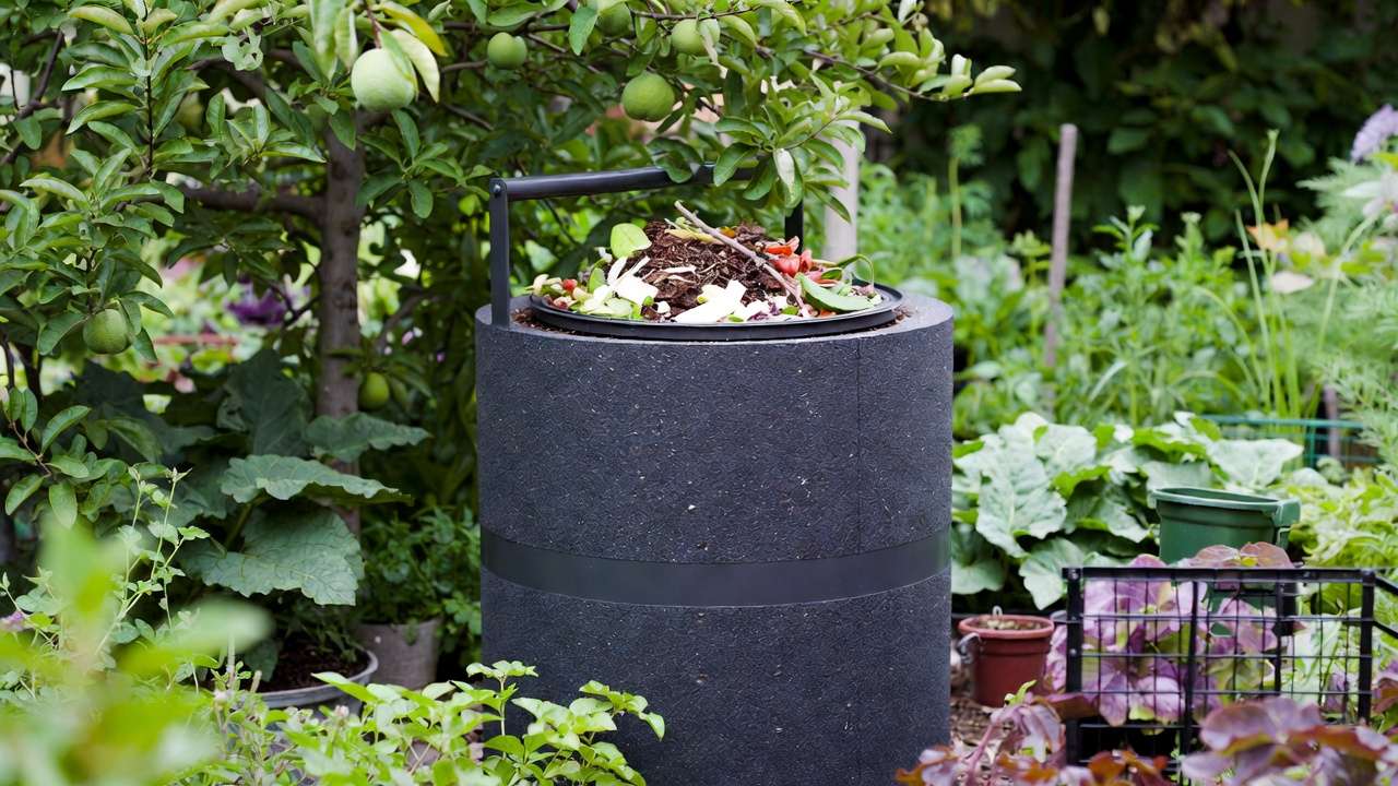 Compost tumbler bin in backyard garden for fast composting
