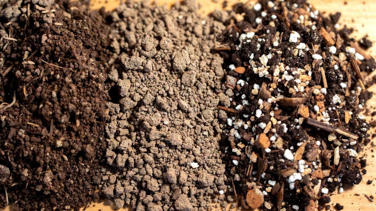 Comparison of poor compacted soil vs ideal fluffy well-draining herb soil mix with perlite and compost