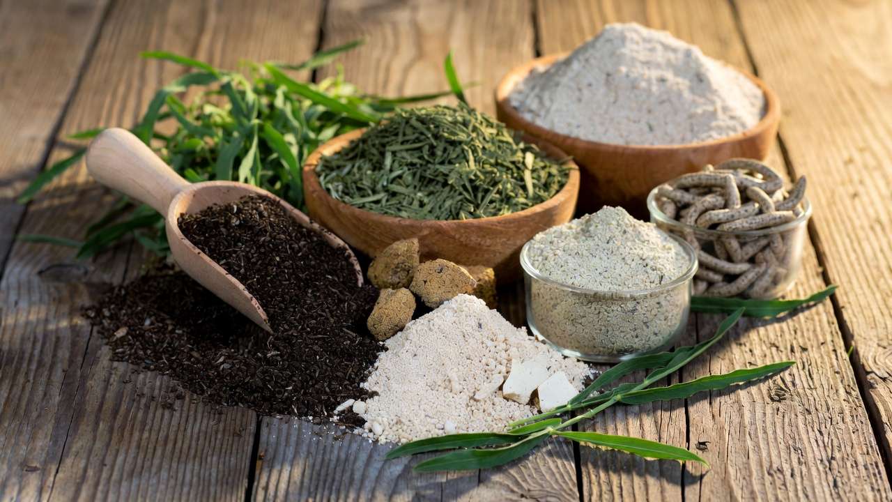 Assortment of natural organic fertilizer sources including compost, bone meal, kelp, worm castings, and fish emulsion on wooden table