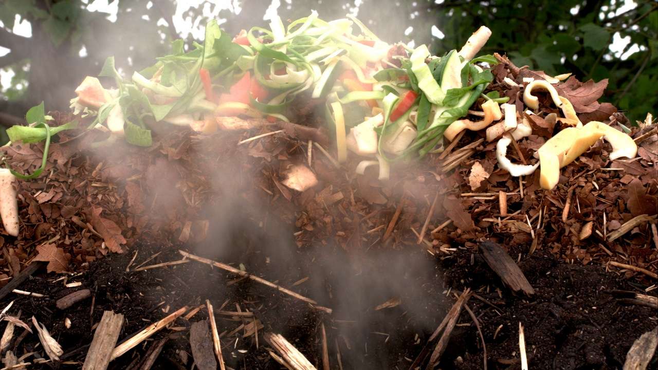 Active compost pile layers showing decomposition stages with steam and organic materials