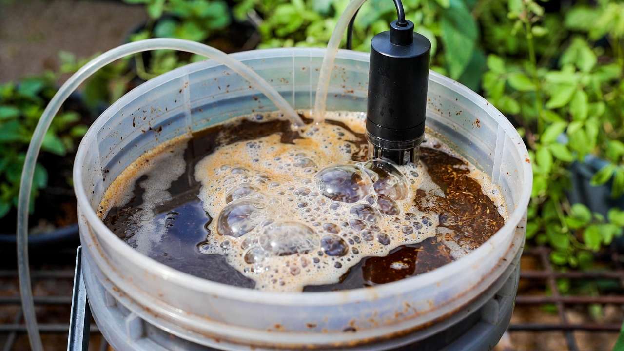 Brewing aerated worm tea liquid fertilizer from vermicompost for plants