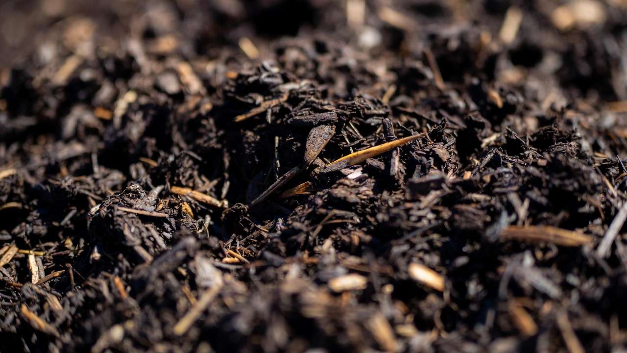 Close-up of mature finished compost showing dark, crumbly, ready-to-use texture for pots