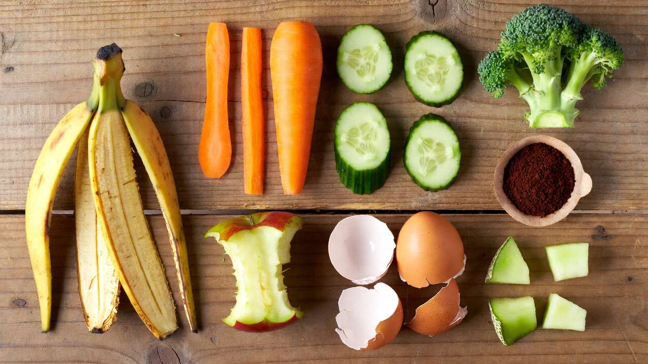 Approved kitchen scraps for feeding worms including vegetable peels, fruit, coffee grounds, and eggshells