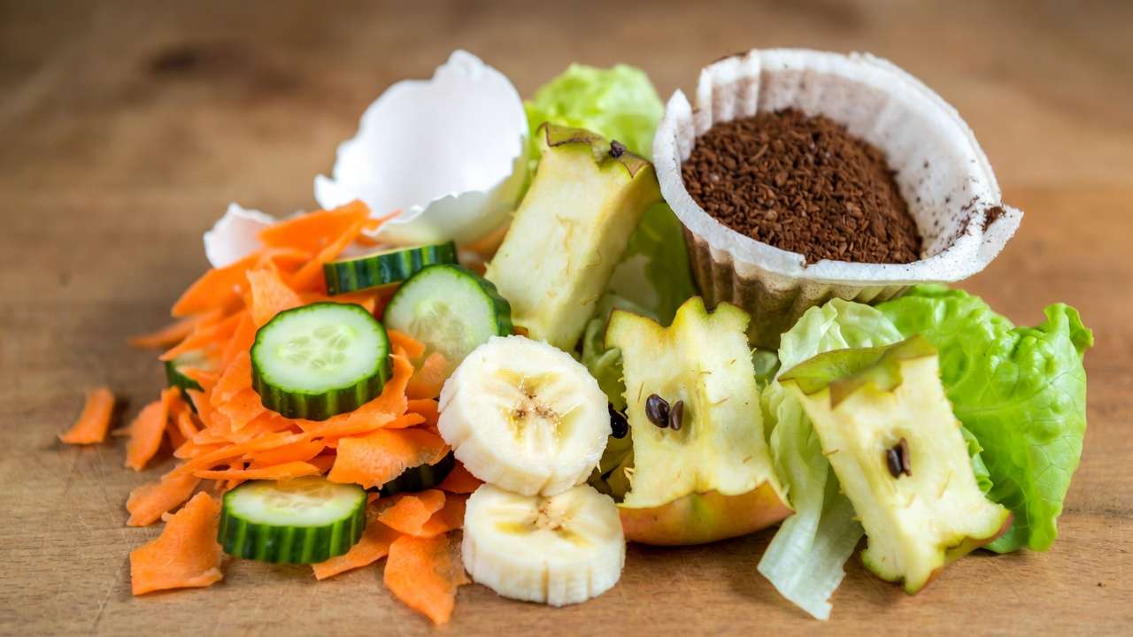 Safe kitchen scraps like vegetable peels, fruit, coffee grounds and eggshells for feeding red wiggler worms