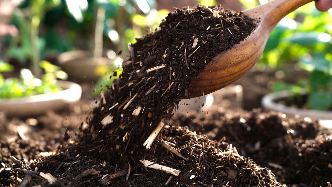 Close-up of dark, crumbly finished homemade compost after sifting