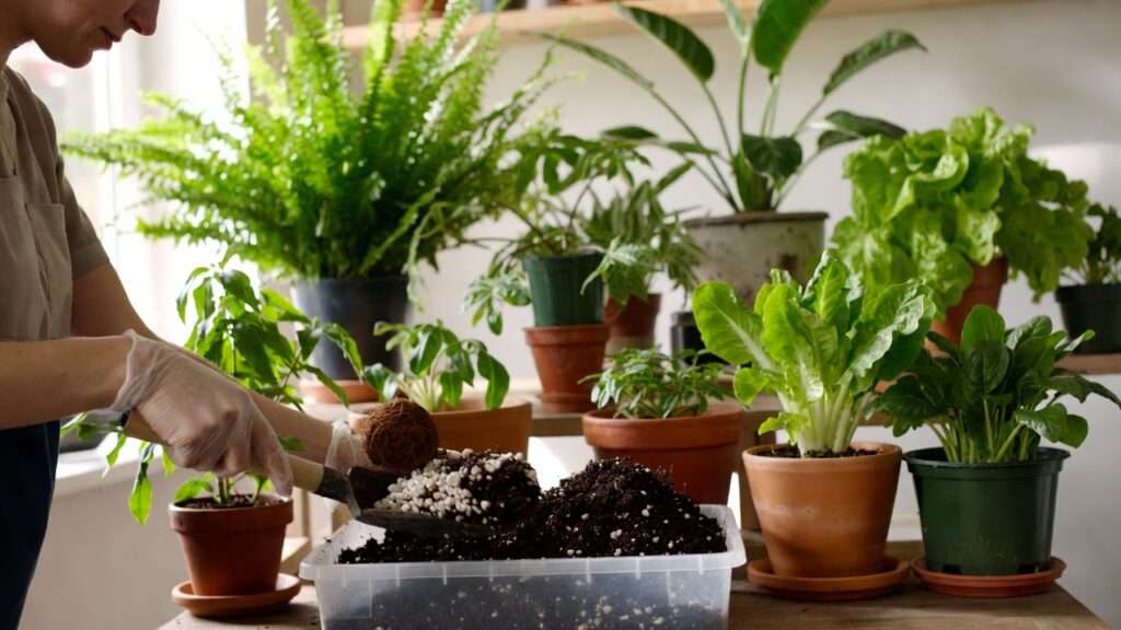 best DIY potting mix recipe