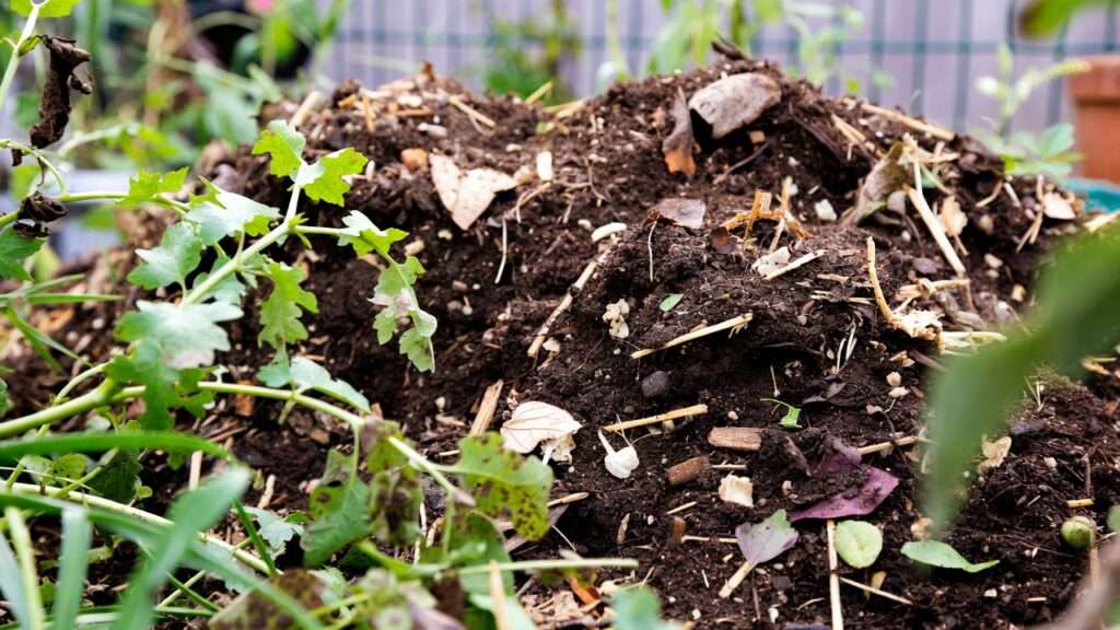 composting kitchen scraps effectively
