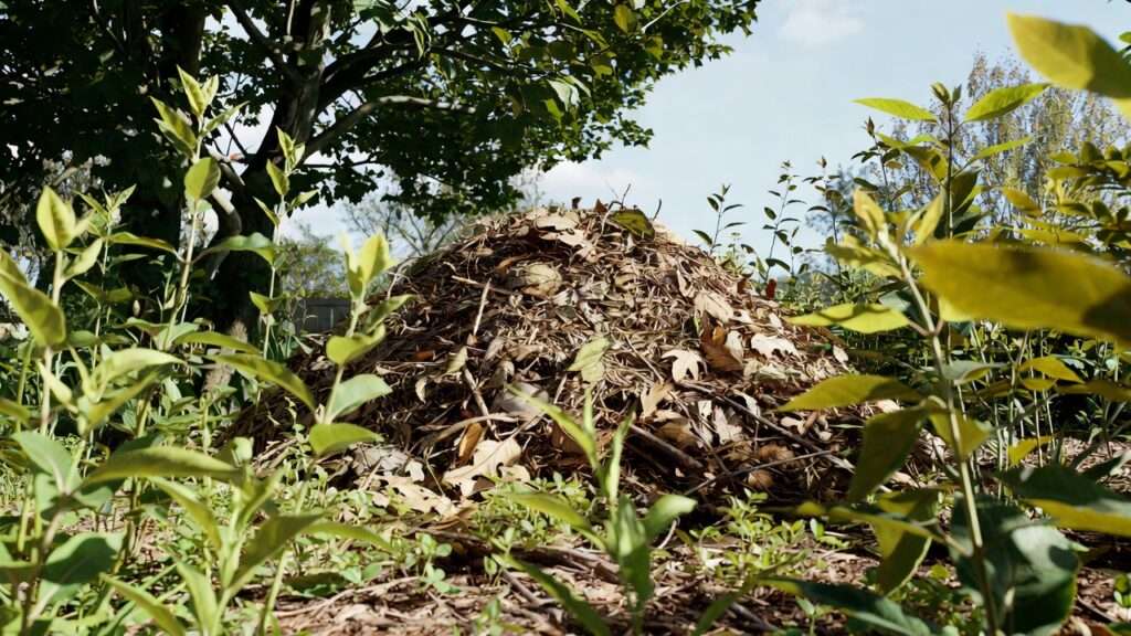 composting leaves for organic matter