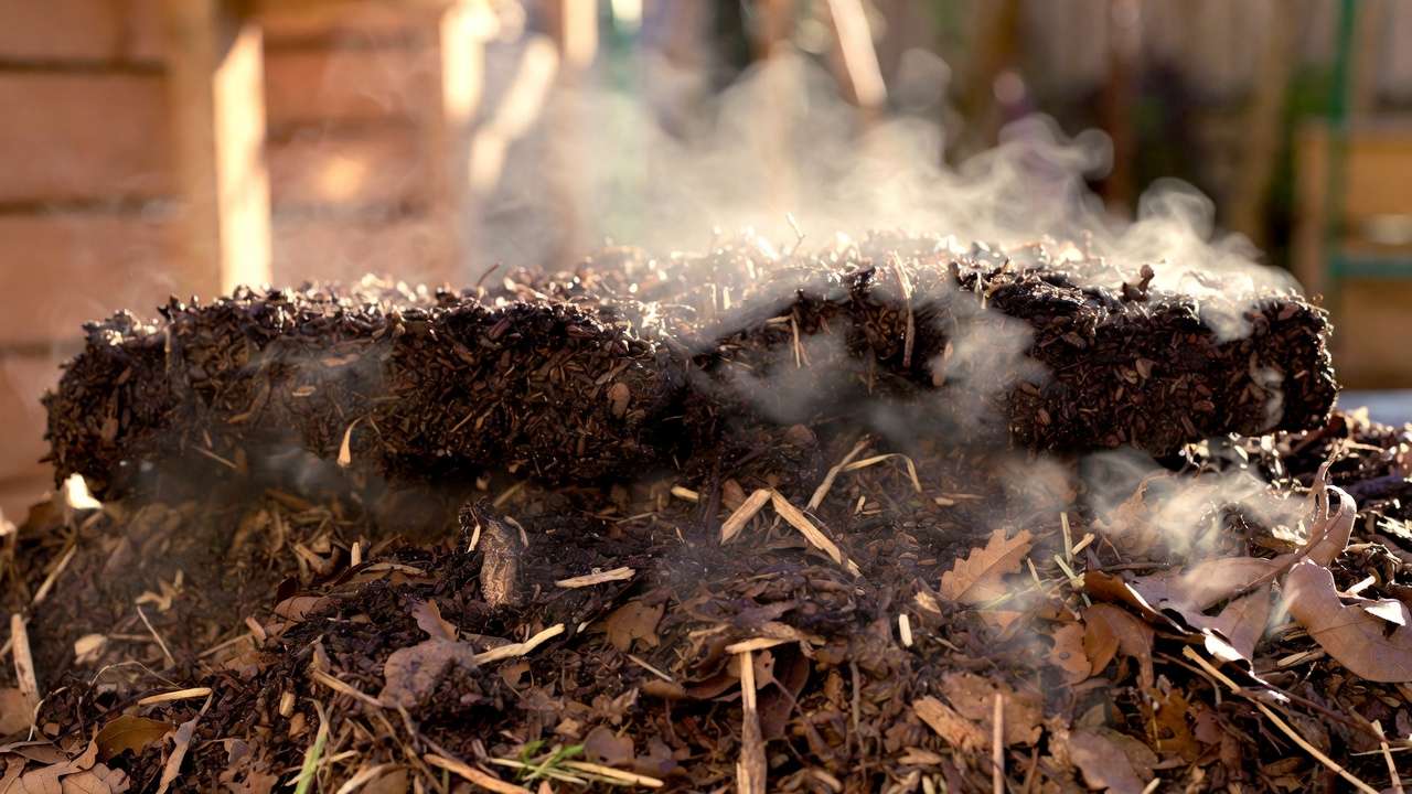 Compost pile enriched with used coffee grounds and organic materials for safe soil amendment