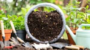 harvesting worm castings tips