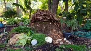 how to start a compost pile at home