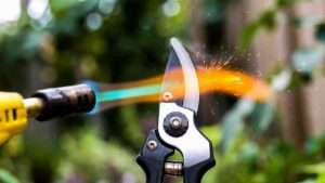 how to sterilize pruning shears