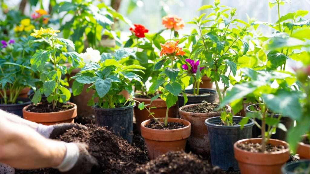 how to use finished compost in pots