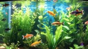 imitation aquarium plants