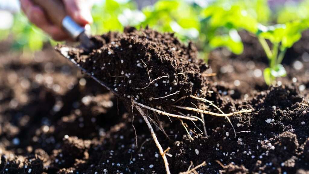 improving aeration in DIY soil