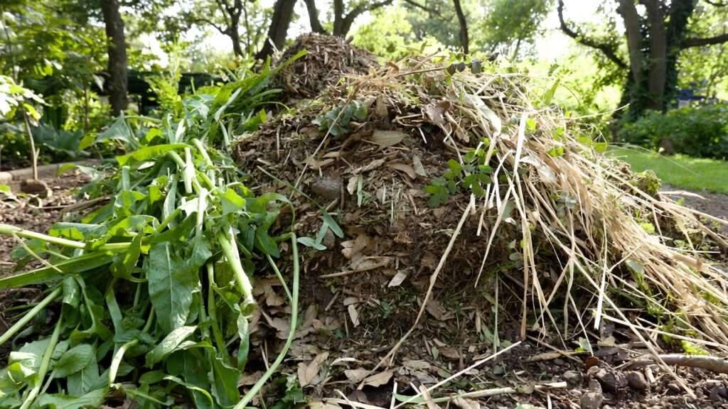 is it okay to compost weeds