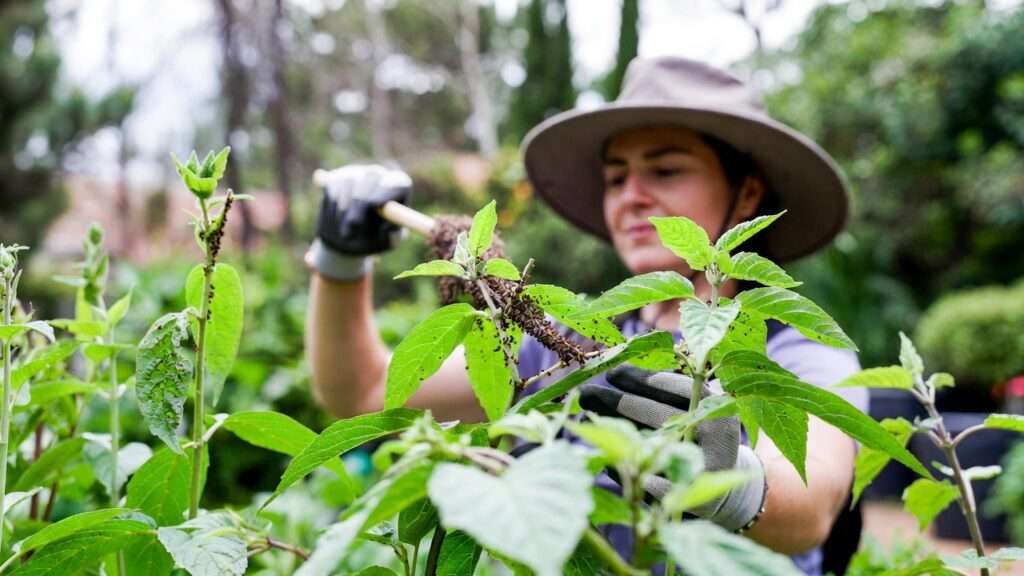 manual pest removal techniques