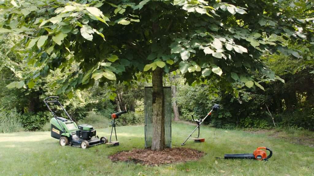 protecting tree trunks from lawn equipment