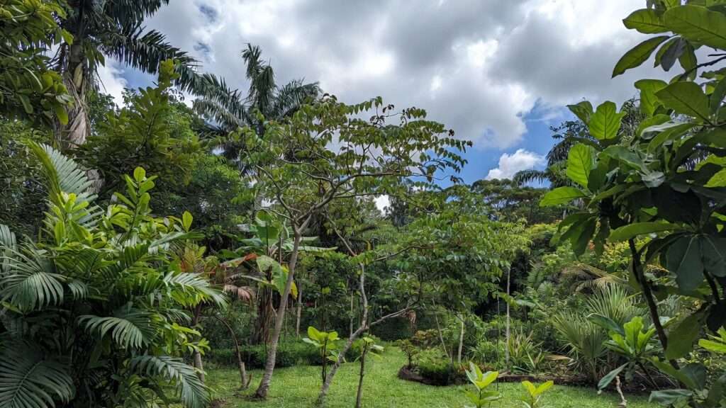 slow-release vs. fast-release fertilizers