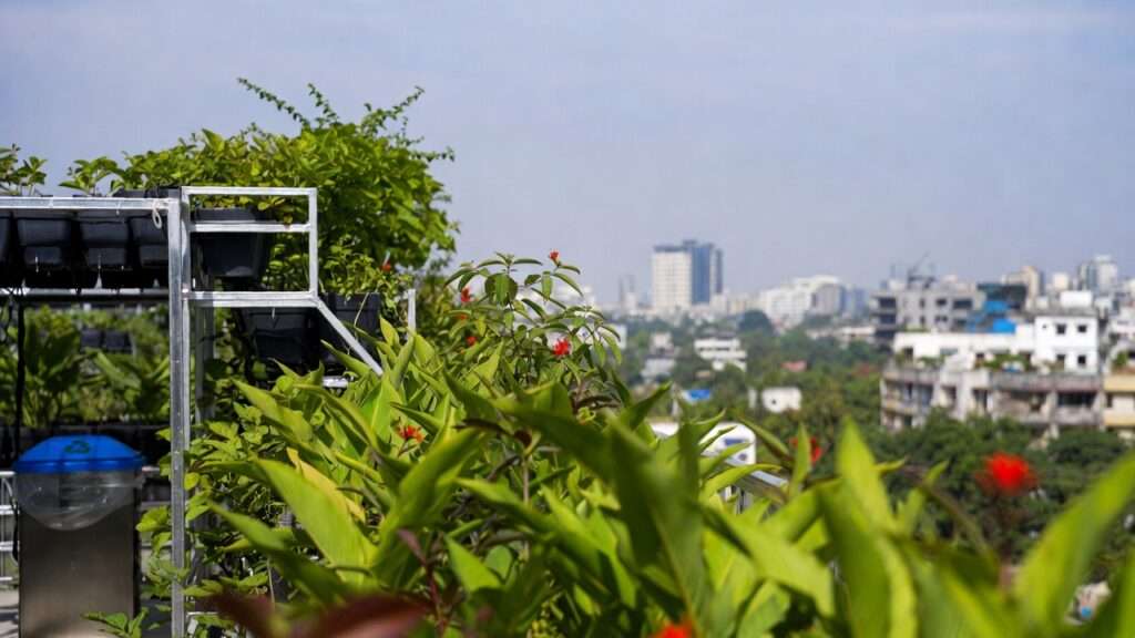 vertical gardens in urban settings