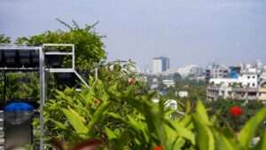 vertical gardens in urban settings