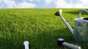 when to plant bermuda seed