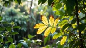 yellowing leaves: disease or deficiency?