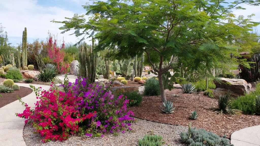 7 steps to a xeriscape garden