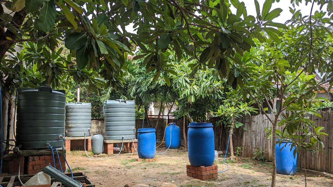 Shaded rainwater storage tanks and barrels for garden and tree irrigation in sustainable tropical setup