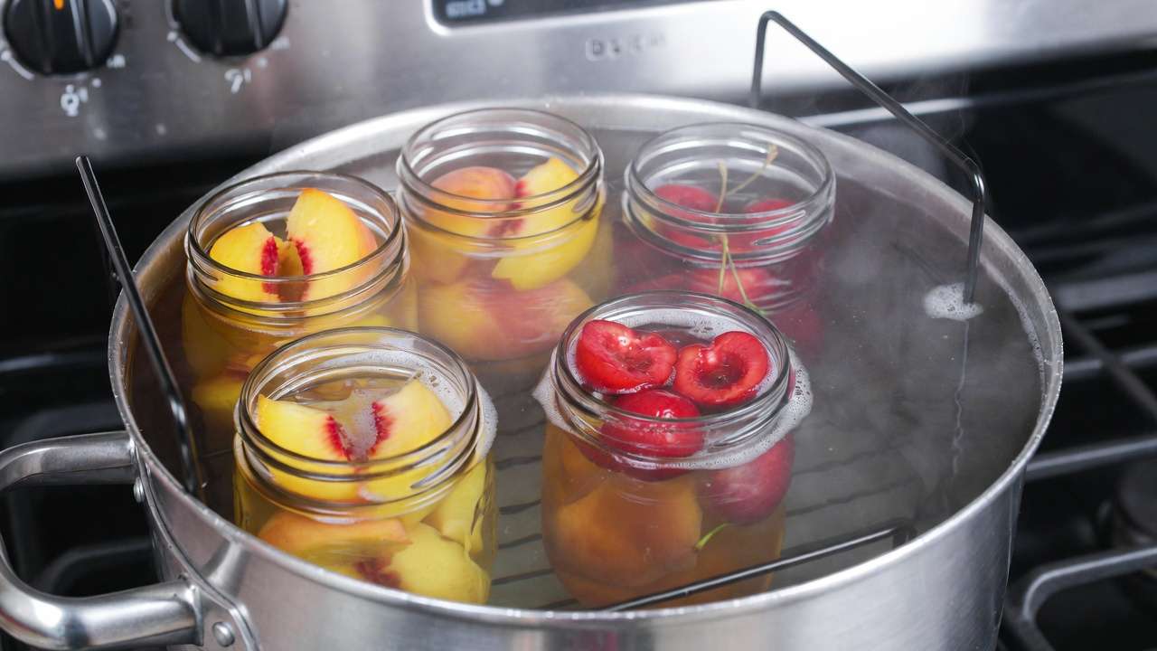 Water bath canning process for orchard fruits peaches cherries in mason jars boiling safely