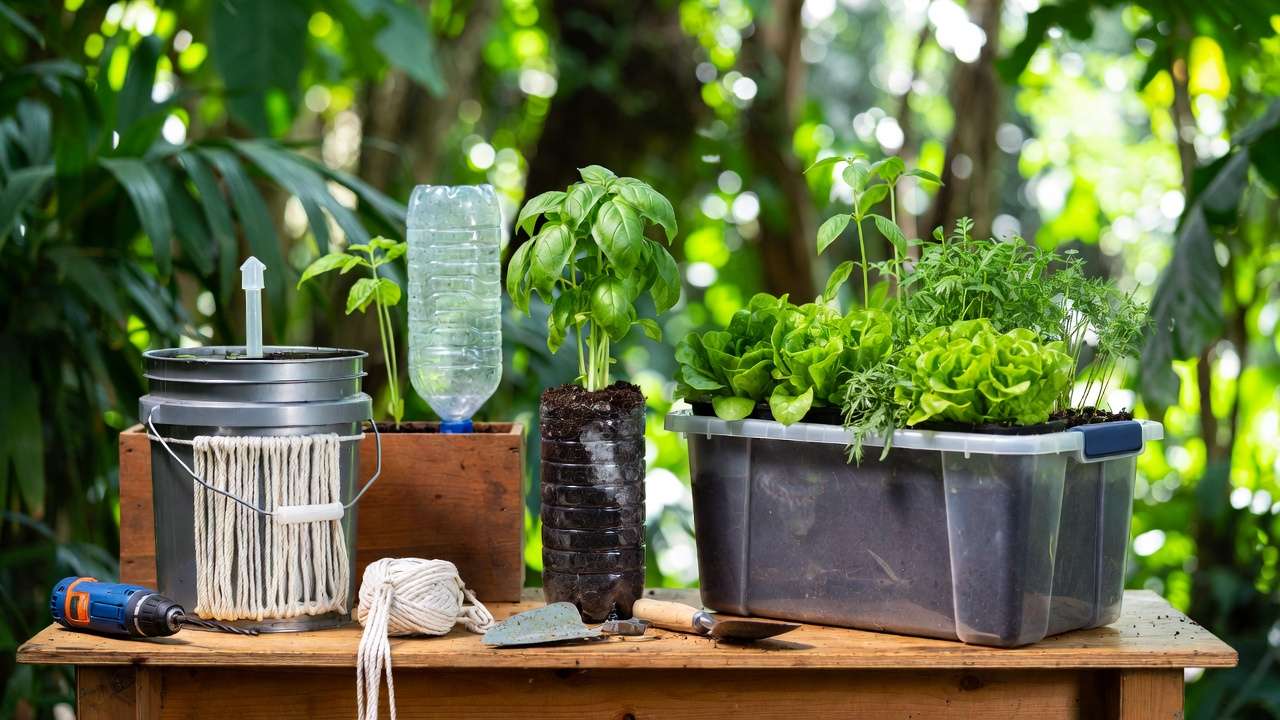 DIY 5-gallon bucket self-watering planter with wick system and thriving plants on workbench