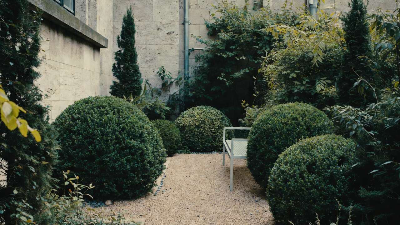 Minimalist small space garden with clean gravel path, boxwood spheres, and negative space for a calm oasis.