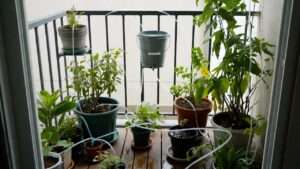 DIY drip irrigation in small spaces