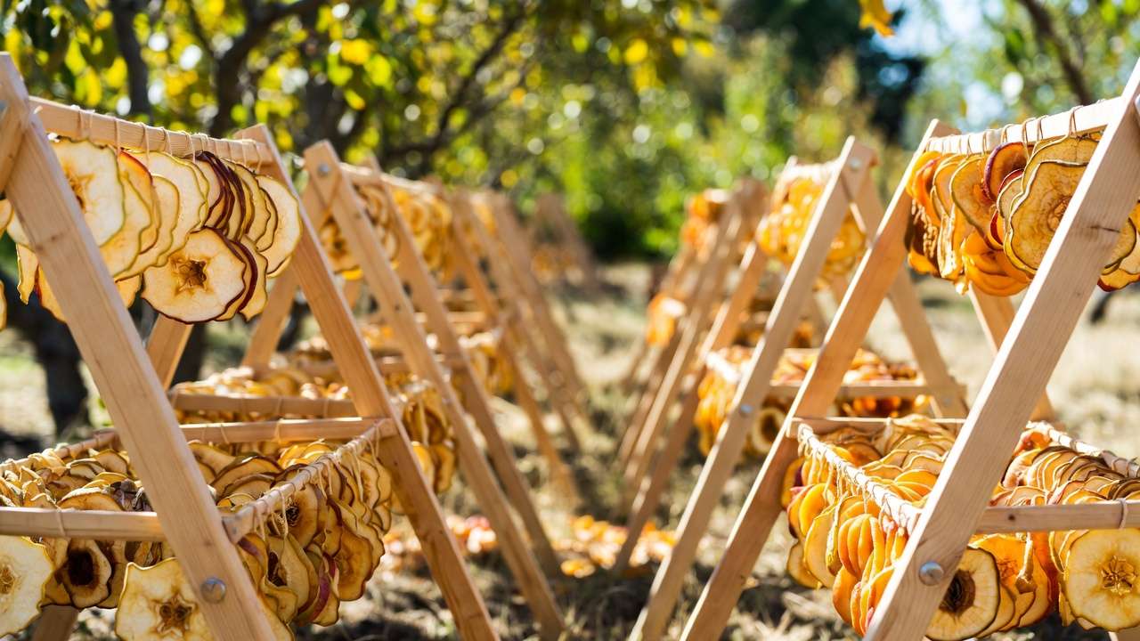 Dried apple pear and apricot slices on racks in orchard during dehydration process