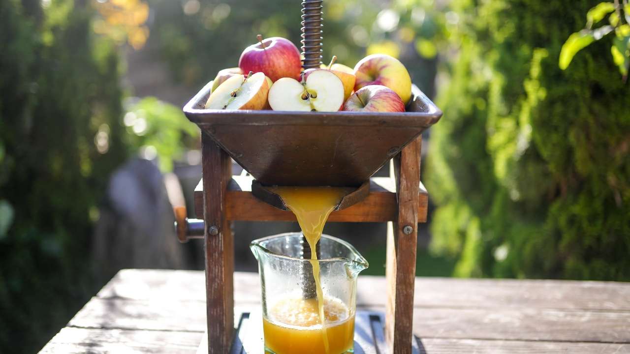 Manual cider press extracting fresh juice from homegrown apples in a backyard setup.