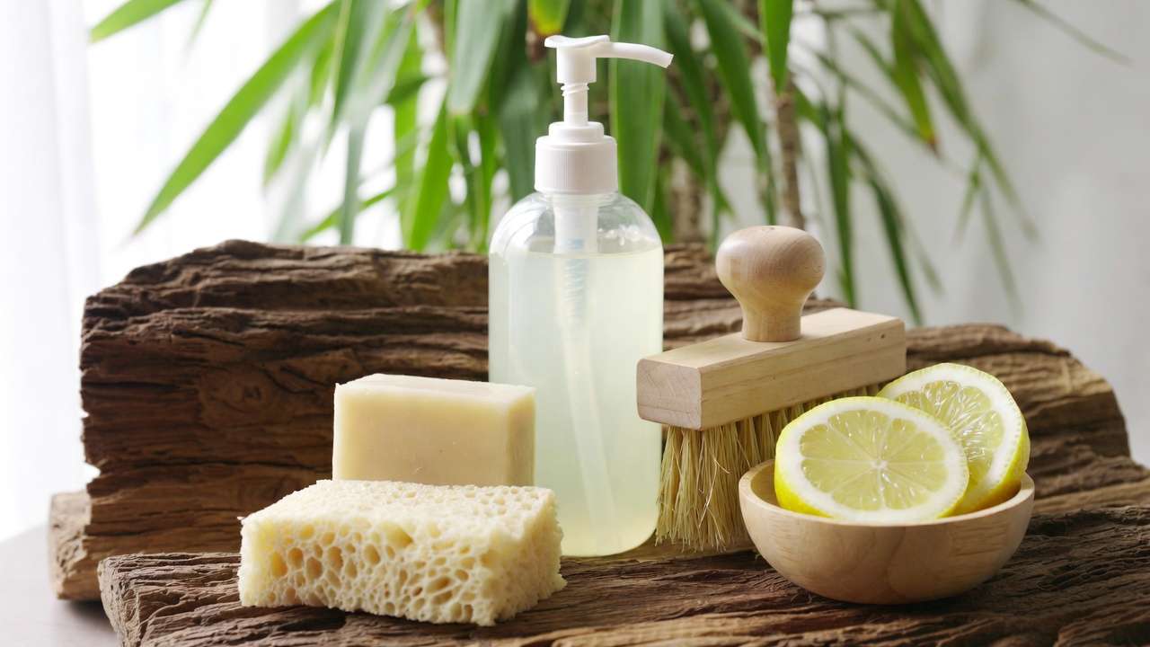 Eco-friendly biodegradable detergents and soaps safe for greywater irrigation in home landscapes