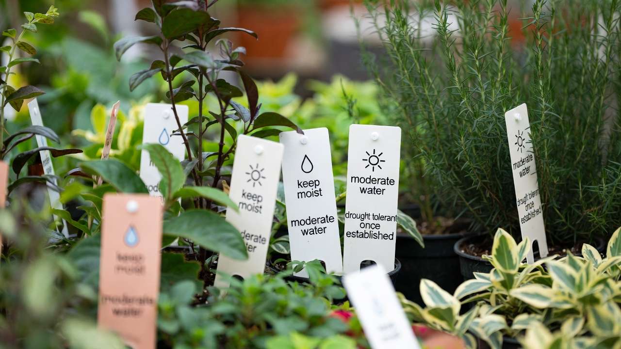 Close-up of plant tags showing water needs categories for easy identification in gardening