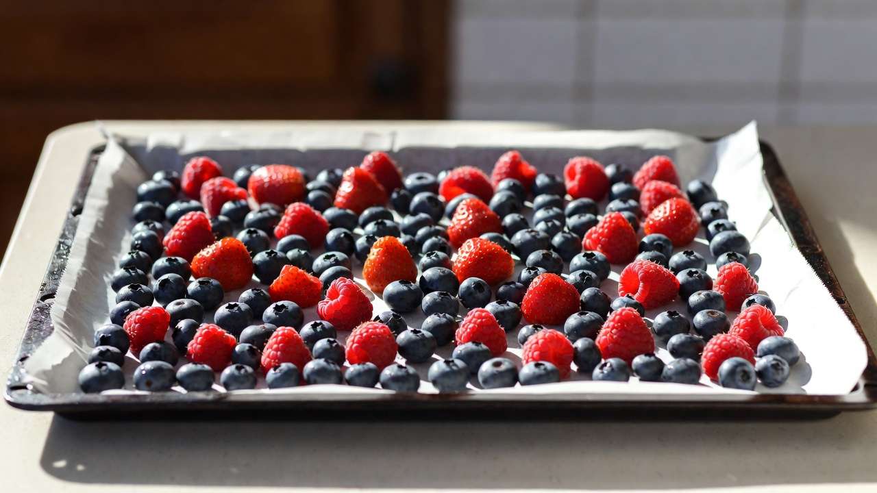 Flash-freezing delicate berries like strawberries blueberries and raspberries on tray for safe vacuum sealing without crushing
