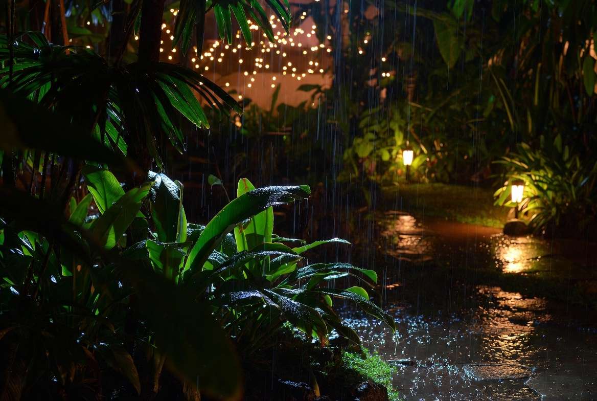 small garden night lighting in light rain with wet leaves and glowing warm lights