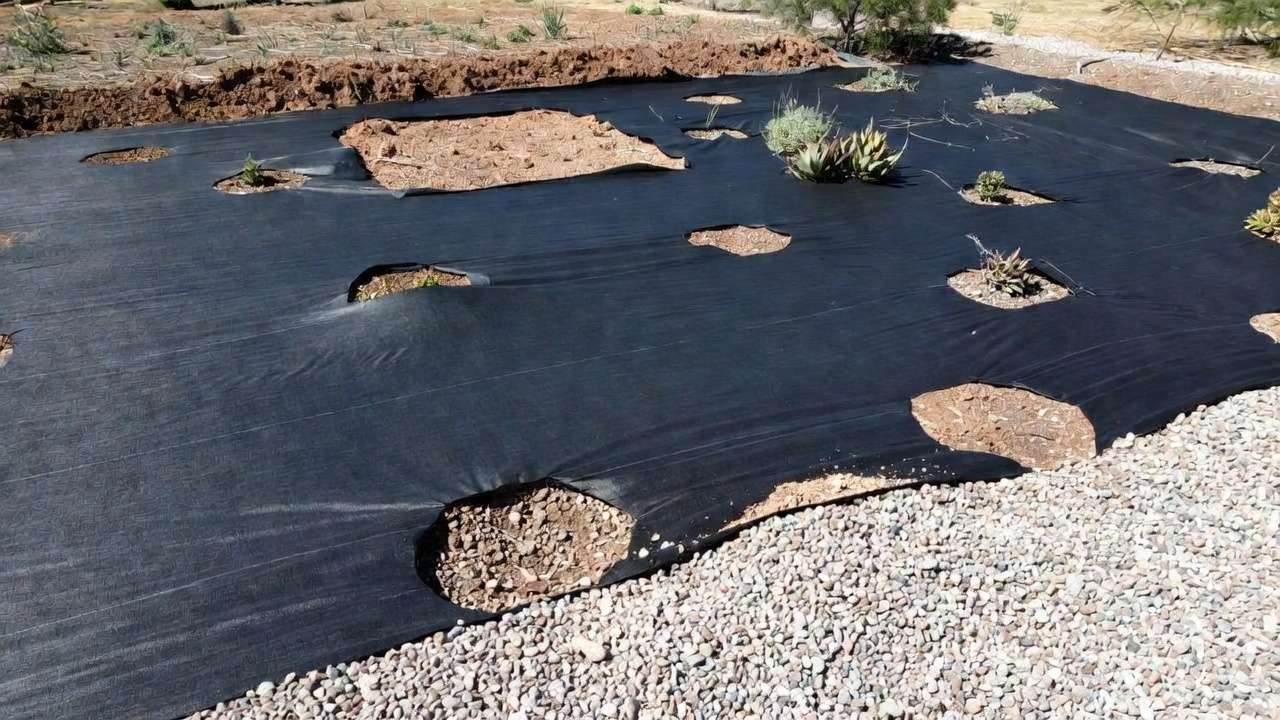 Breathable landscape fabric weed barrier installed under gravel with planting holes in xeric garden