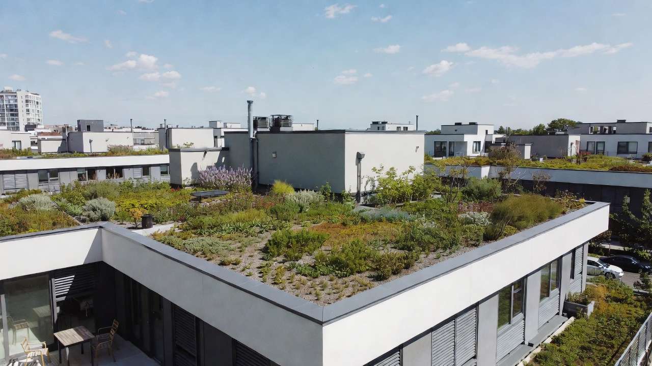 Intensive rooftop garden with shrubs, flowers, and seating on a homeowner's green roof for usable outdoor space
