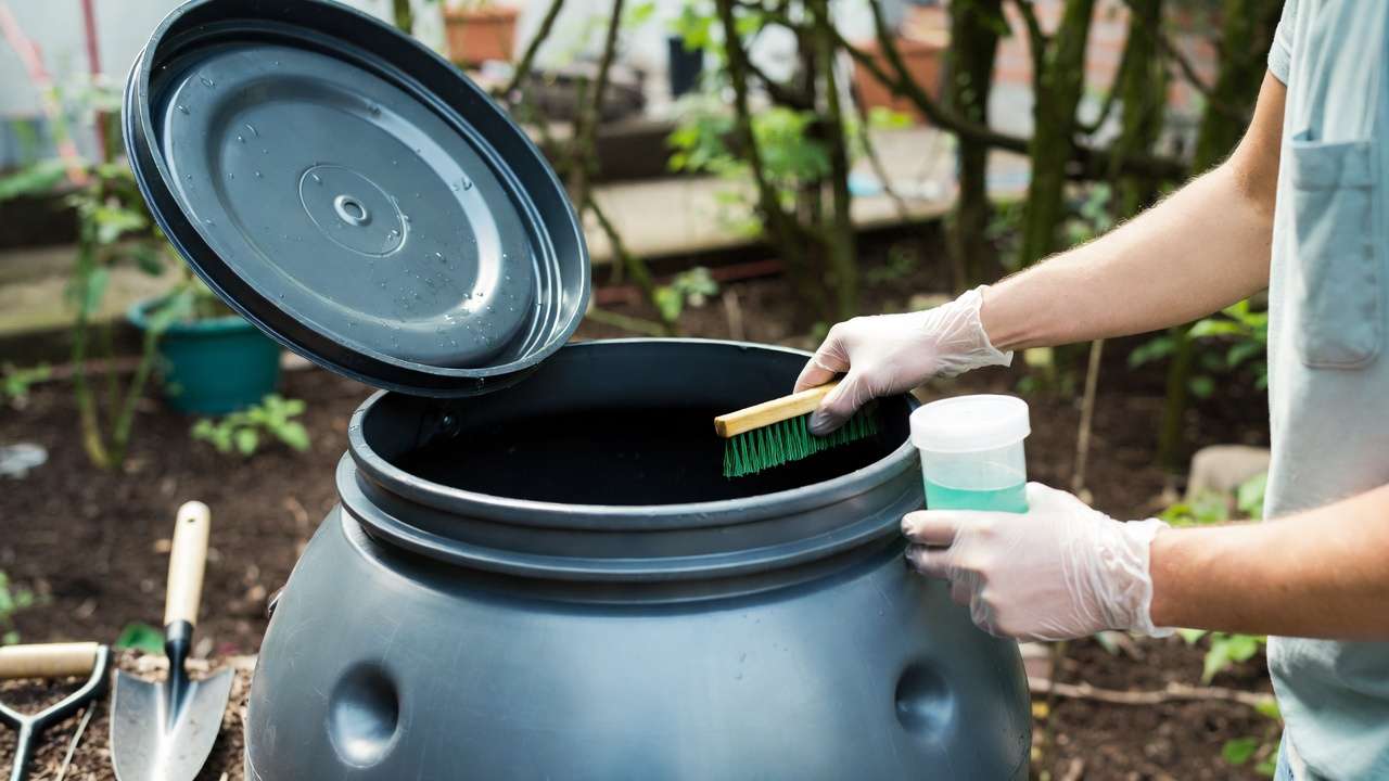 Gardener cleaning and maintaining rainwater harvesting barrel